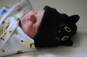 Hank "dresses up" for Halloween in a cat hat from Aunt Donna