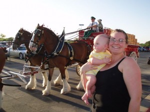 Hank was fascinated by the horses