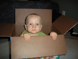 Hank loves climbing into boxes